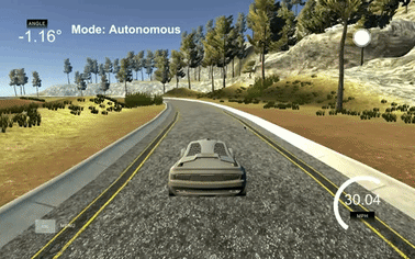 Behavioral cloning driving gif